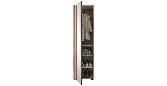 GARDEROBENSCHRANK 57/195/38 cm  - Schwarz/Eiche Artisan, Design, Glas/Holzwerkstoff (57/195/38cm) - Carryhome