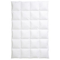 WINTERDECKE  Ambiente 240/220 cm 100 % Daunen  - Weiß, Basics, Textil (240/220cm) - Centa-Star