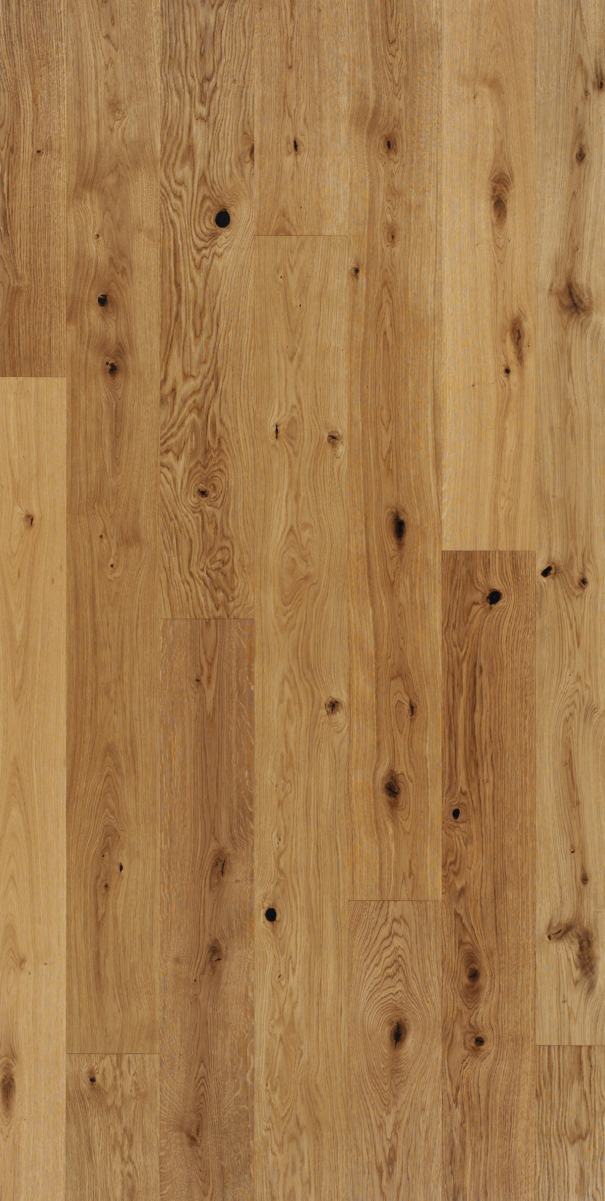 PARKETTBODEN CLASSIC 3060 1739902  per  m² - Braun, LIFESTYLE, Holz (220/18,5/1,3cm) - Parador