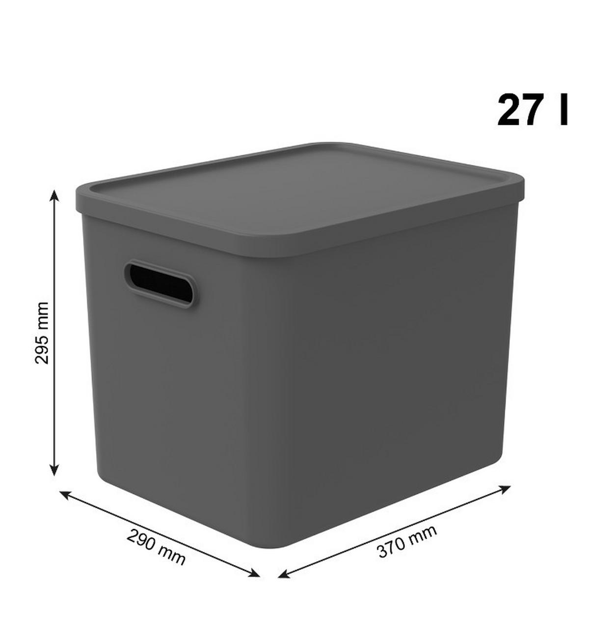 AUFBEWAHRUNGSBOX    37/29/29,5 cm  - Schwarz, KONVENTIONELL, Kunststoff (37/29/29,5cm) - Rotho