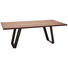 JÍDELNÍ STŮL, dýhované, modřín, barvy modřínu - černá/barvy modřínu, Design, kov/dřevo (220/110/77cm) - Dieter Knoll JÍDELNÍ STŮL, dýhované, modřín, barvy modřínu - černá/barvy modřínu, Design, kov/dřevo (220/110/77cm) - Dieter Knoll