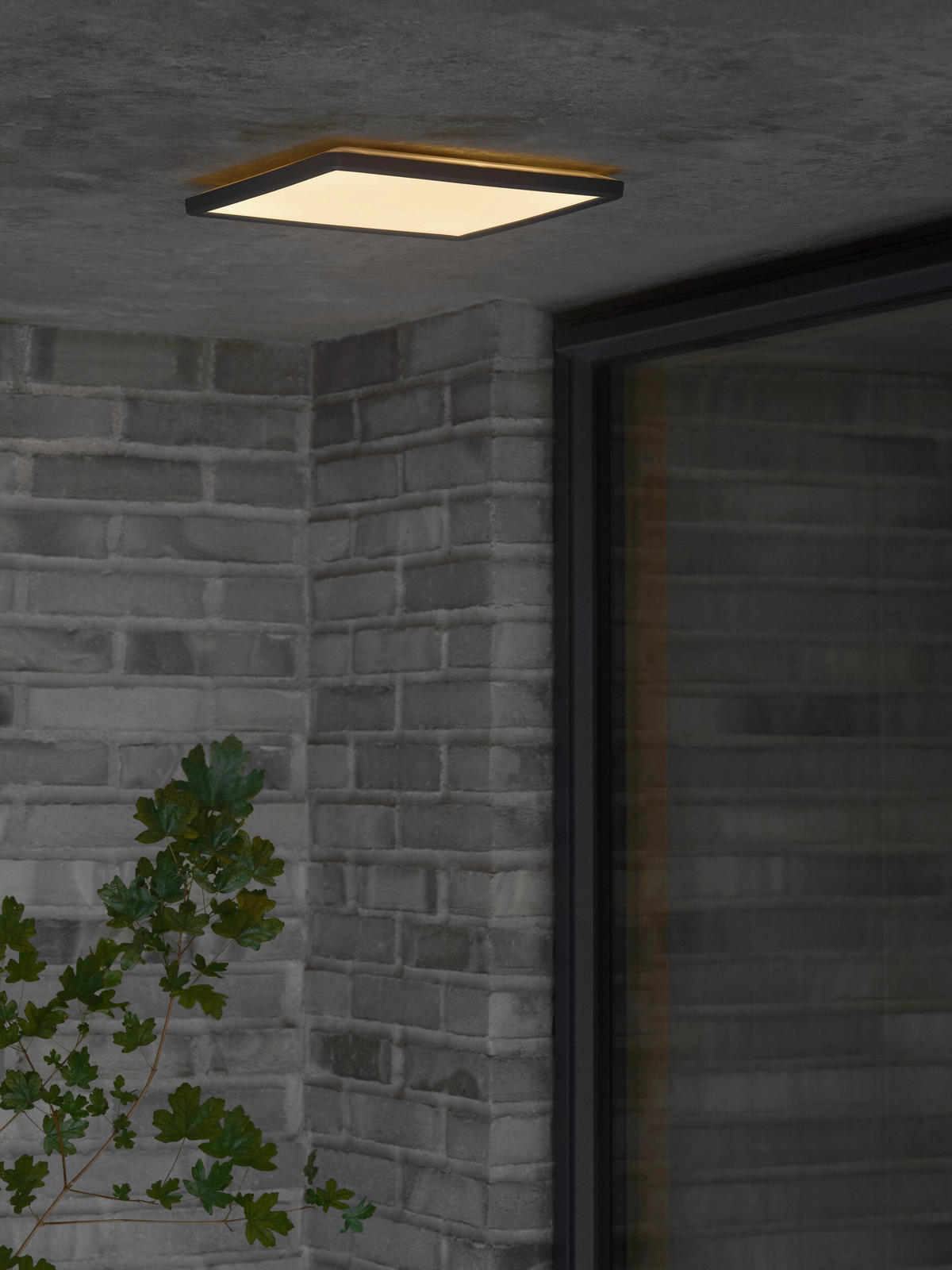 LED-DECKENLEUCHTE OJA 29.5/2.5 cm  - Schwarz, Design, Kunststoff (29.5/2.5cm) - Nordlux