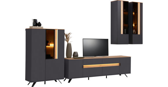 WOHNWAND in Anthrazit, Eichefarben 384,4/206/48 cm - Eichefarben/Anthrazit, Design, Glas/Holz (384,4/206/48cm) - Dieter Knoll