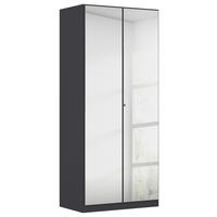 DREHTÜRENSCHRANK 91/210/54 cm,  in Graphitfarben, 2-türig  - Chromfarben/Graphitfarben, MODERN, Glas/Holzwerkstoff (91/210/54cm) - Rauch Möbel