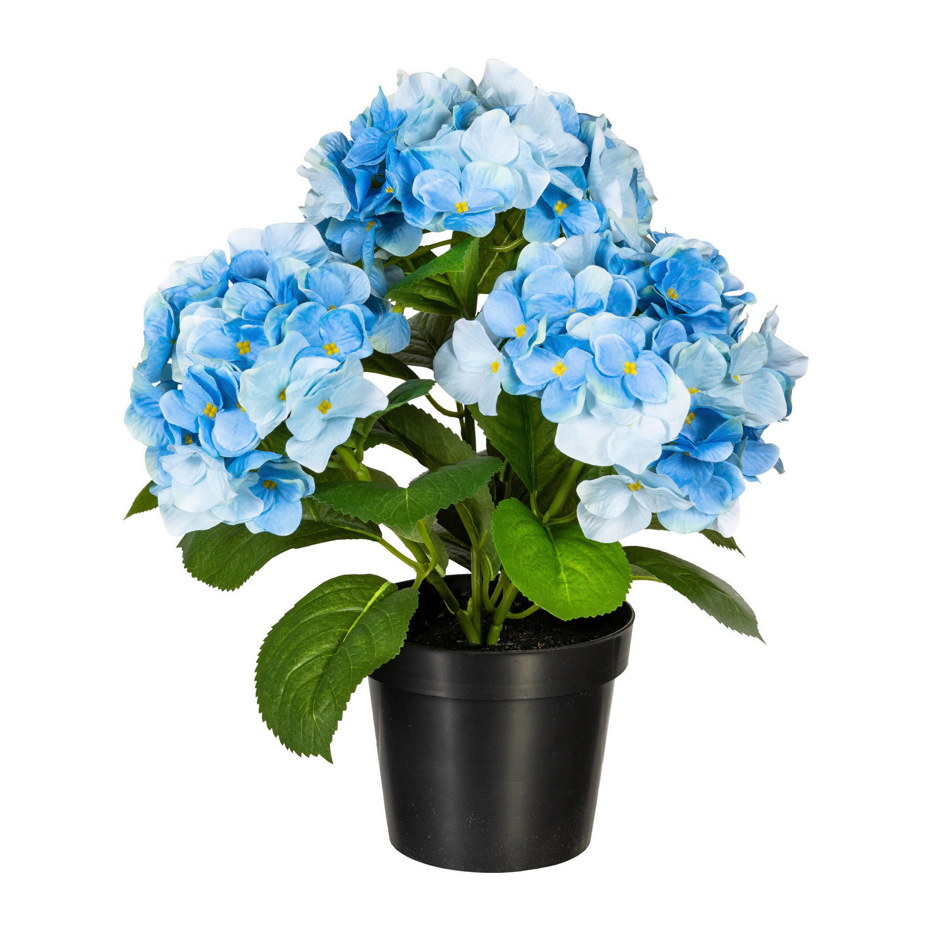 KUNSTPFLANZE Hortensie 32 cm  - Blau/Schwarz, Design, Kunststoff (32cm) - P & B