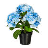 KUNSTPFLANZE Hortensie 32 cm  - Blau/Schwarz, Design, Kunststoff (32cm) - P & B