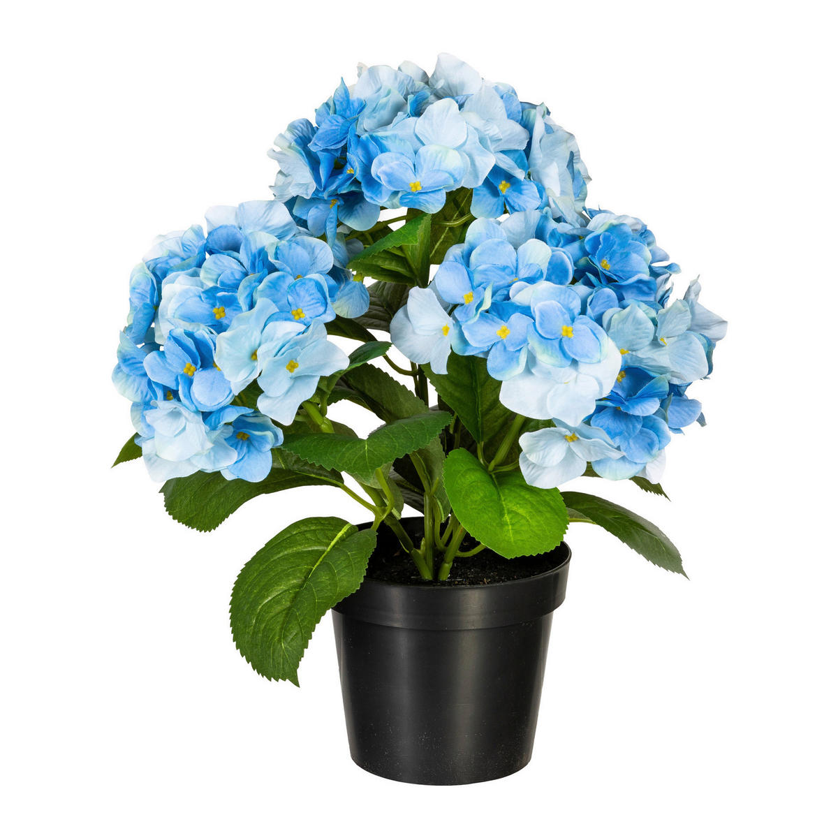 KUNSTPFLANZE Hortensie 32 cm  - Blau/Schwarz, Design, Kunststoff (32cm) - P & B