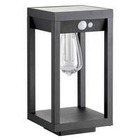 SOLÁRNE SVIETIDLO, 15/15/40 cm - priehľadné/čierna, Basics, kov/plast (15/15/40cm) - Ambia Garden