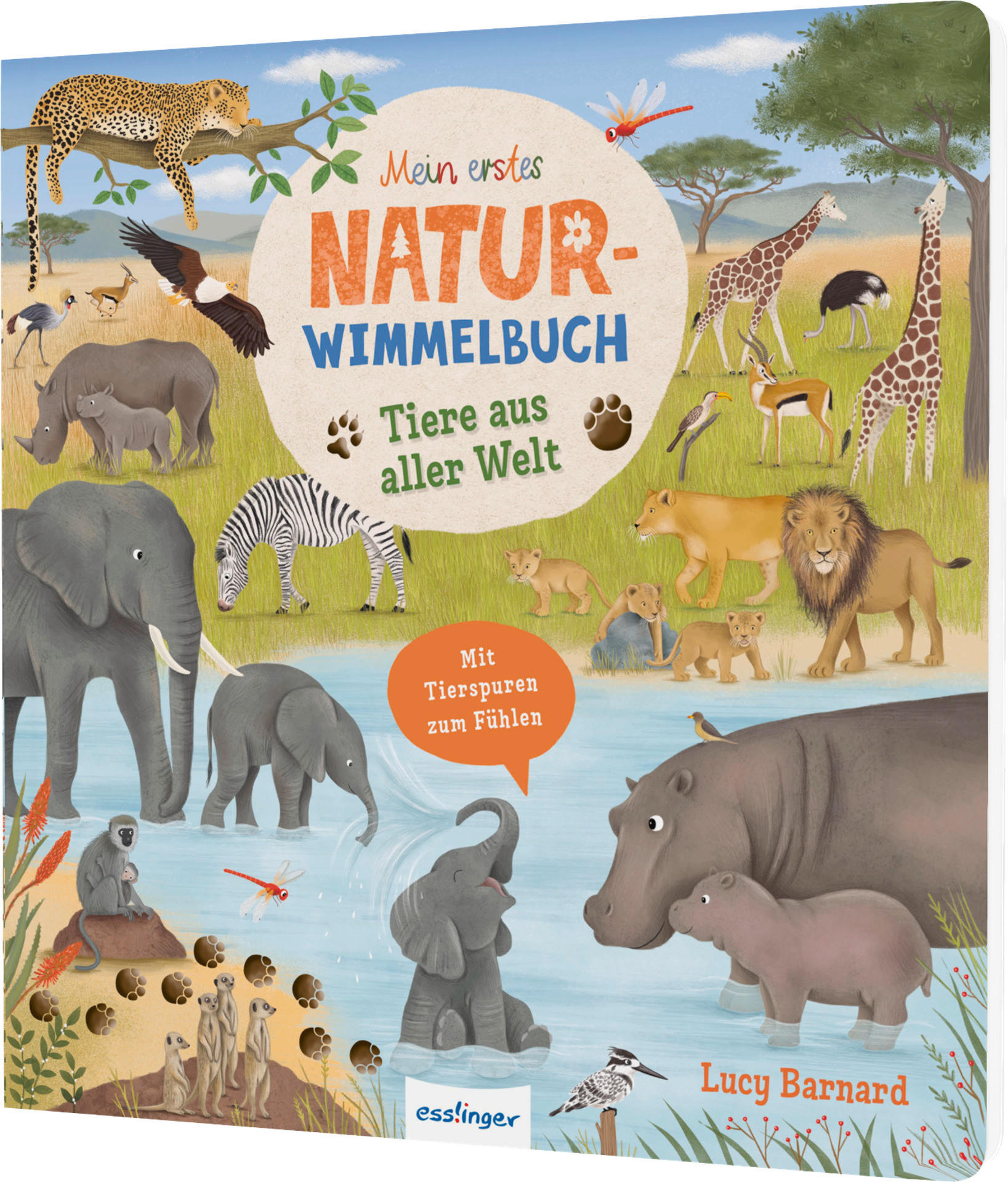 WIMMELBUCH Tiere im Wald  - Multicolor, Basics, Papier (23,5/24,5/1,6cm)