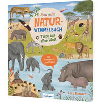 WIMMELBUCH Tiere im Wald  - Multicolor, Basics, Papier (23,5/24,5/1,6cm)