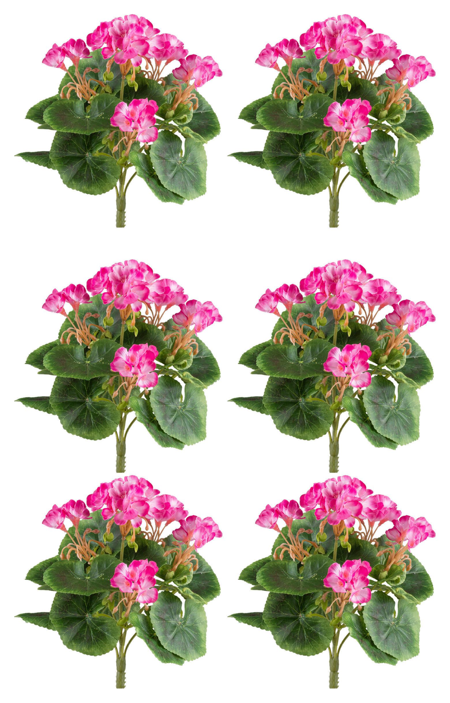 KUNSTPFLANZE Geranie 24 cm  - Pink/Grün, Design, Kunststoff (24cm) - P & B