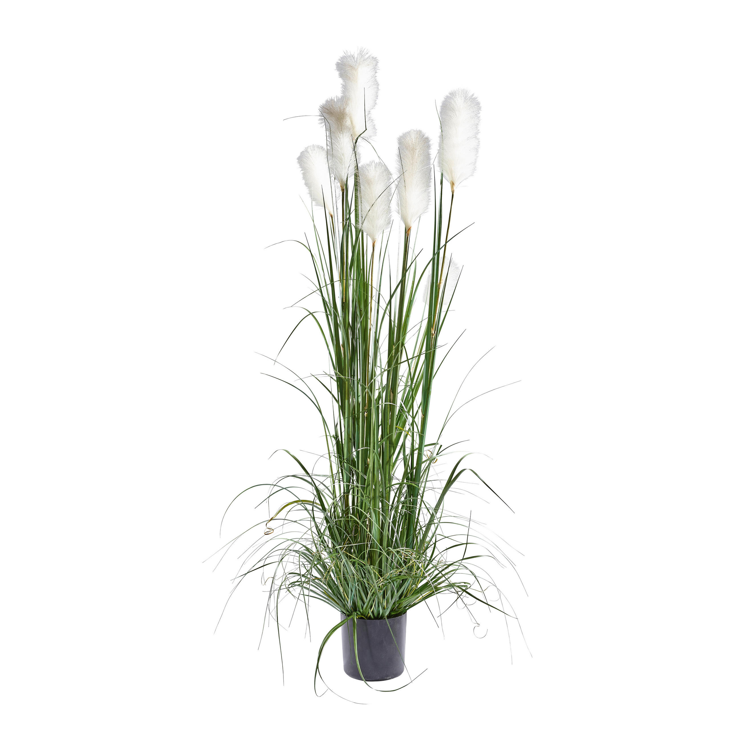 DEKOGRAS - Dunkelgrün, Basics, Kunststoff/Metall (180cm) - Ambia Home