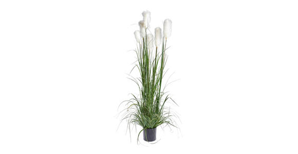 DEKOGRAS - Dunkelgrün, Basics, Kunststoff/Metall (180cm) - Ambia Home