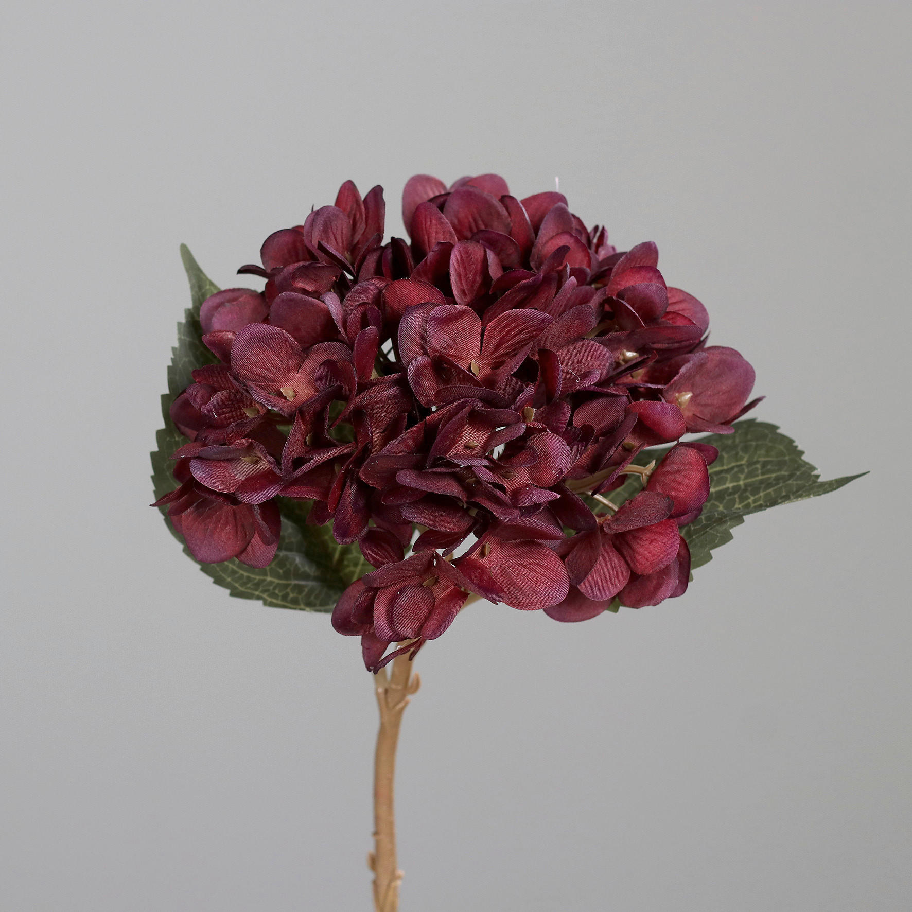 HORTENSIE - Bordeaux/Braun, Basics, Kunststoff/Textil (45cm)