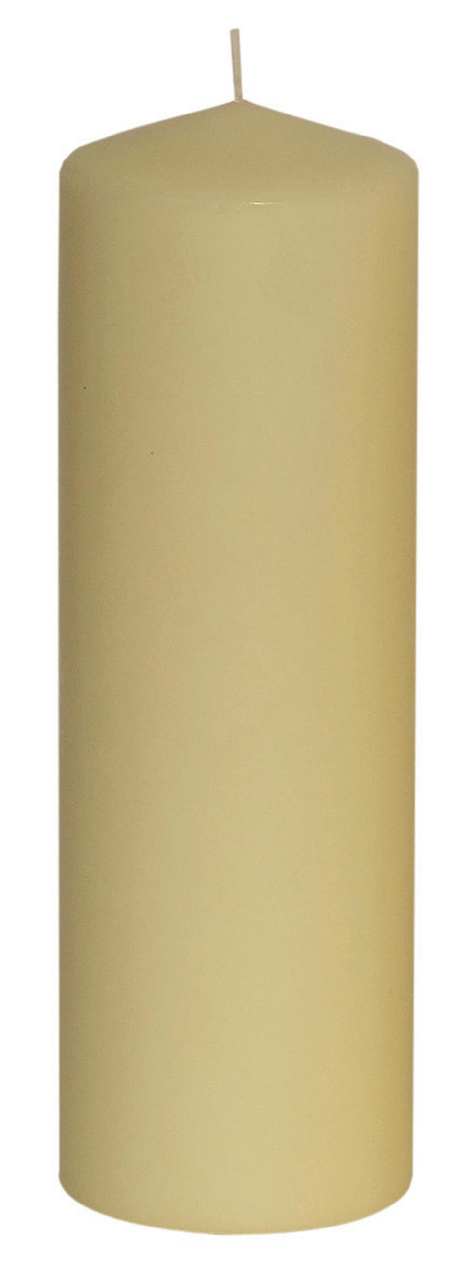 STUMPENKERZE  - Champagner, Basics (9/28cm) - Steinhart