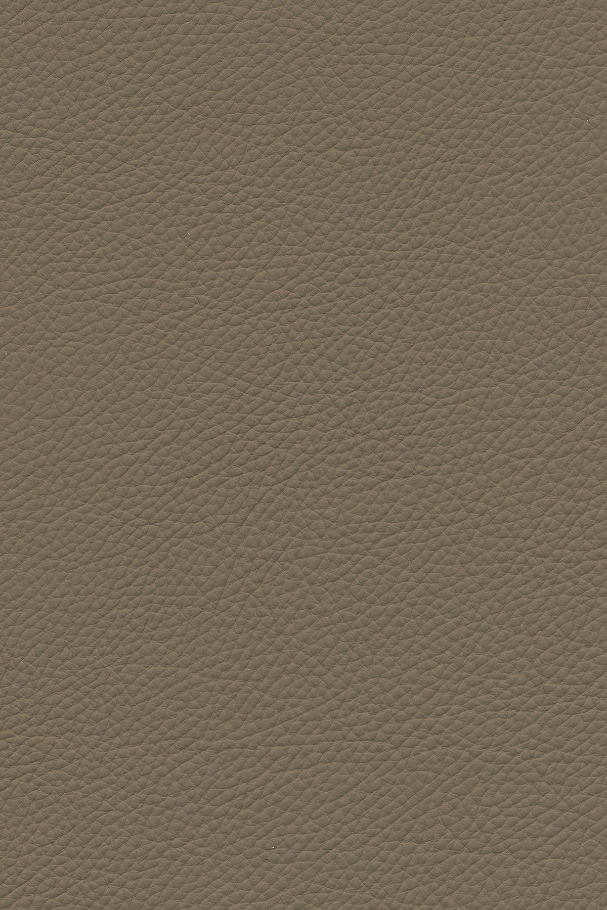 ECKSOFA in Echtleder Hellbraun  - Hellbraun/Schwarz, Design, Leder/Metall (182/325cm) - Valnatura