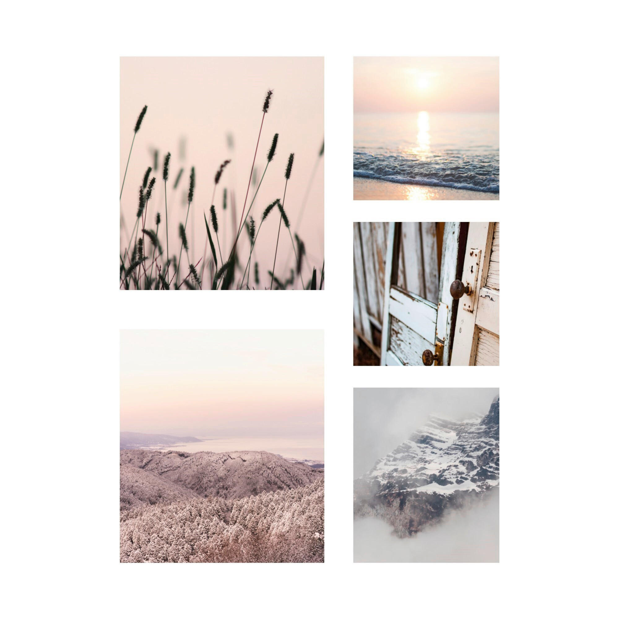 Leinwandbild Multicolor 5-Teilig