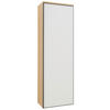GARDEROBENSCHRANK 54/170/31 cm  - Weiss/Eichefarben, Design, Glas/Holz (54/170/31cm) - Dieter Knoll