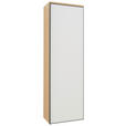GARDEROBENSCHRANK  in 54/170/31 cm  - Eichefarben/Anthrazit, Design, Glas/Holz (54/170/31cm) - Dieter Knoll