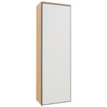 GARDEROBENSCHRANK  in 54/170/31 cm  - Eichefarben/Anthrazit, Design, Glas/Holz (54/170/31cm) - Dieter Knoll