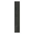 HOCHGLANZTÜR 45,4/203/1,8 cm Anthrazit Hochglanz  - Anthrazit Hochglanz, KONVENTIONELL, Holzwerkstoff (45,4/203/1,8cm) - Hom`in