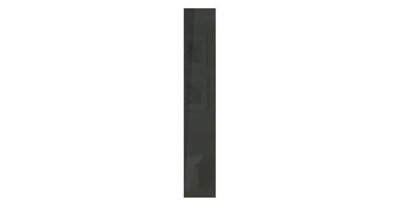 HOCHGLANZTÜR 45,4/203/1,8 cm Anthrazit Hochglanz - Anthrazit Hochglanz, KONVENTIONELL, Holzwerkstoff (45,4/203/1,8cm) - Hom`in