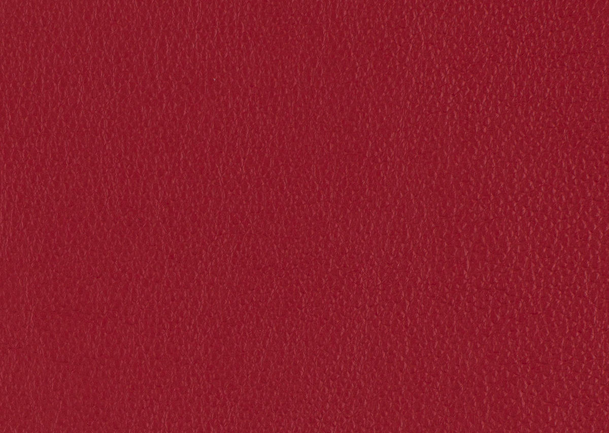 RELAXLIEGE in Echtleder Rot  - Rot/Schwarz, Design, Leder/Metall (120/54-113/158-198cm) - Pure Home Lifestyle