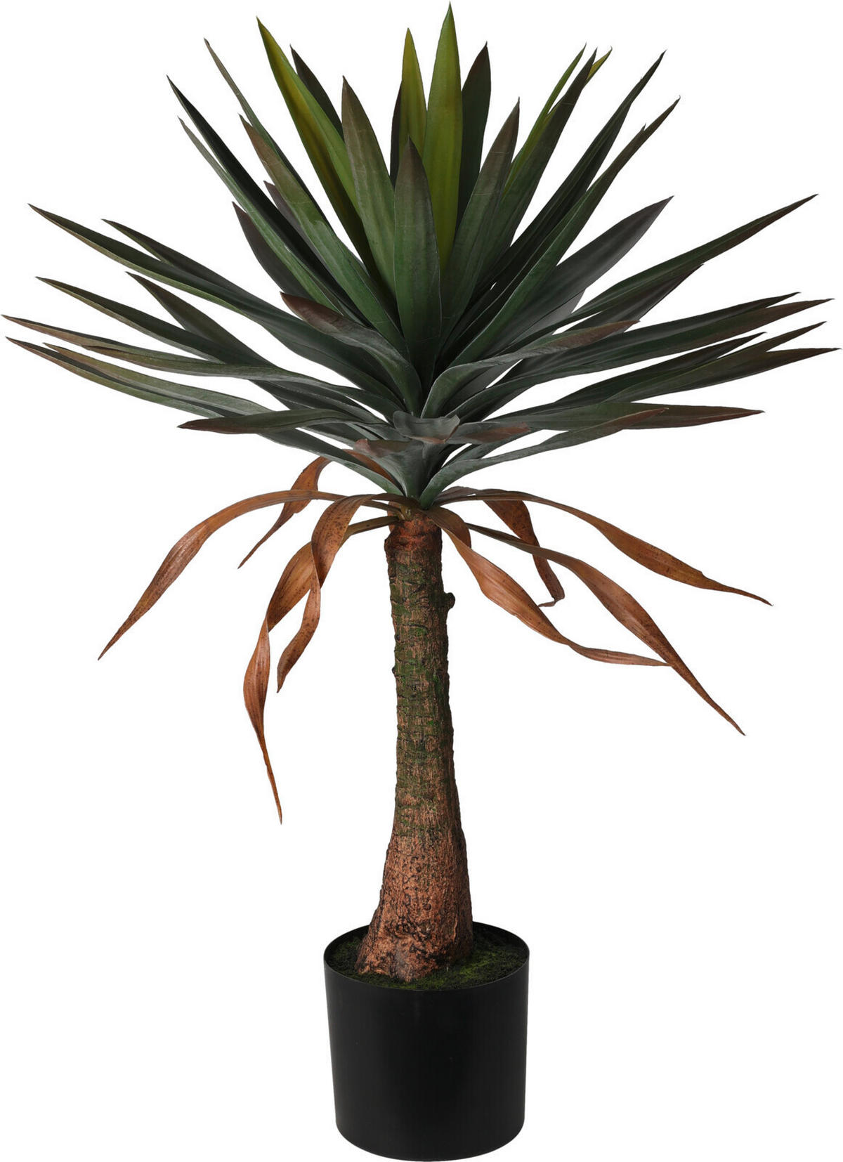PLANTĂ ARTIFICIALĂ - Basics, plastic (55/55/90cm)