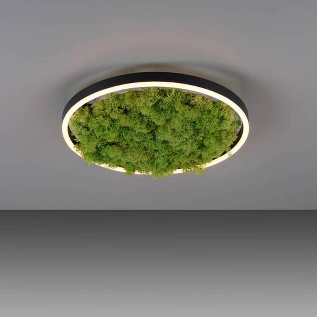 LED-DECKENLEUCHTE Ritus 39,3/39,3/5,3 cm   - Naturfarben, Natur, Naturmaterialien/Kunststoff (39,3/39,3/5,3cm)