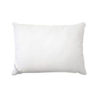 POLŠTÁŘ POD HLAVU, 40/60 cm - Basics (40/60cm) - Sleeptex