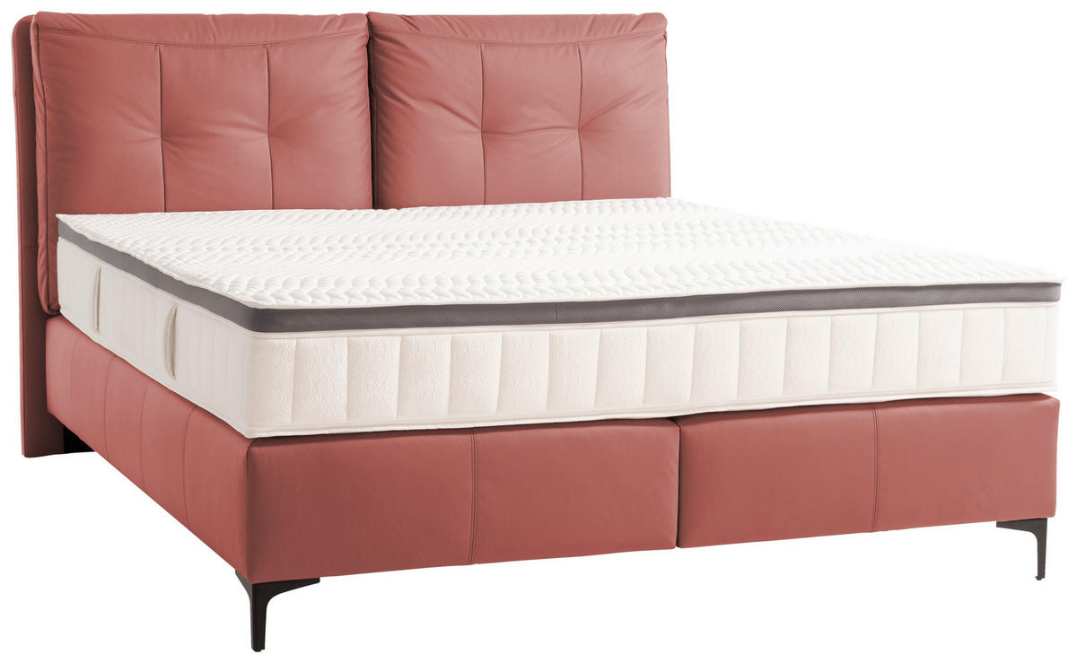 BOXSPRINGBETT 180/200 cm  in Bordeaux  - Bordeaux/Schwarz, Design, Leder/Holz (180/200cm) - Novel