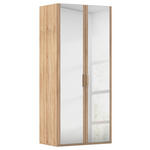 DREHTÜRENSCHRANK 101/223/60 cm 2-türig Sonoma Eiche  - Silberfarben/Sonoma Eiche, Design, Glas/Holzwerkstoff (101/223/60cm) - Novel