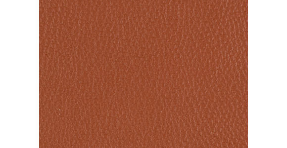 RELAXSESSEL in Leder Cognac - Cognac/Schwarz, Design, Leder/Metall (71/112/83cm) - Dieter Knoll