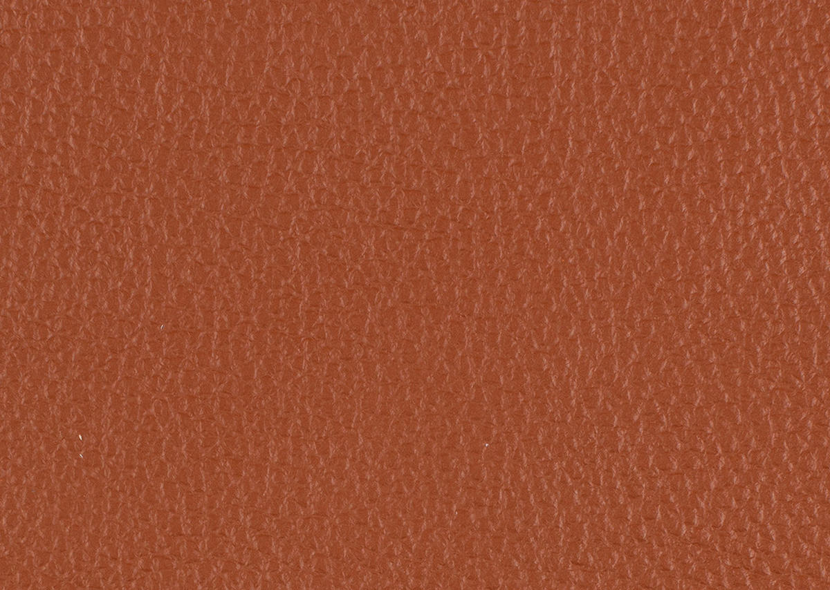2,5-SITZER in Echtleder Cognac  - Cognac/Alufarben, Design, Leder/Metall (164/82/99cm) - Dieter Knoll