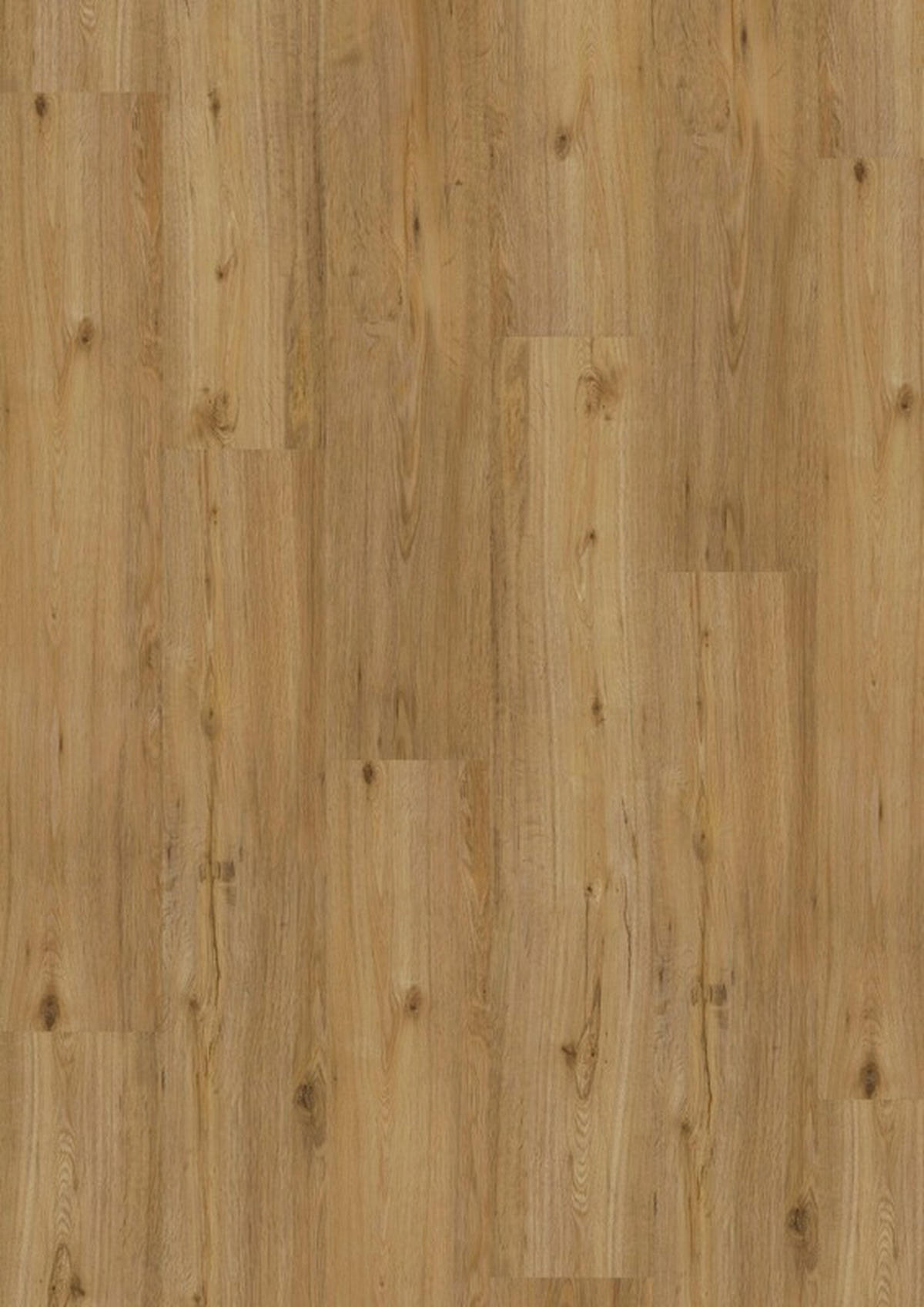 VINYLBODEN Favorito Eiche Nox 100000701  per  m² - Design, Holzwerkstoff (120,5/21/0,98cm) - Tilo
