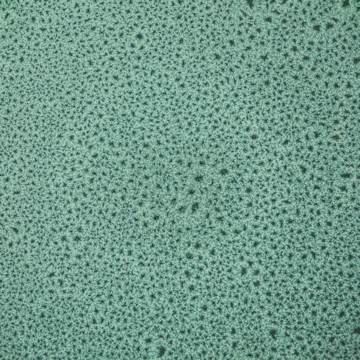 KOMPLETT SERVIS Faro Grün 16 delar  - grön, Design, keramik - Novel