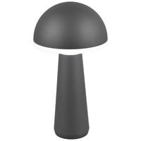 VENKOVNÍ LED SVÍTIDLO, 16/31 cm  - Design (16/31cm)