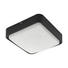 LED-AUßENLEUCHTE - Schwarz/Weiß, MODERN, Kunststoff/Metall (25/25/8cm) LED-AUßENLEUCHTE - Schwarz/Weiß, MODERN, Kunststoff/Metall (25/25/8cm)