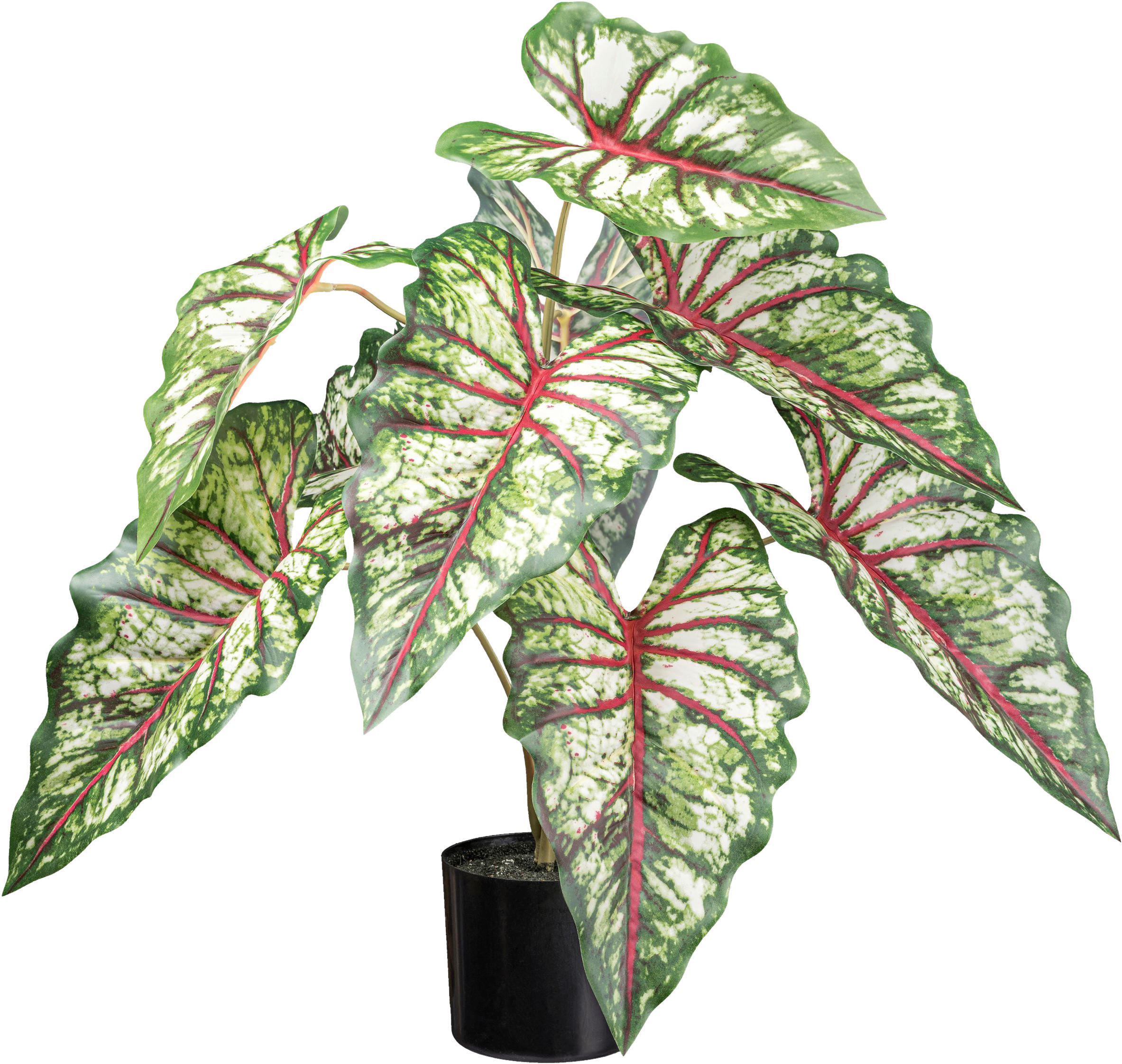 KUNSTPFLANZE 66 cm  - Rot/Braun, Design, Kunststoff (66cm) - P & B