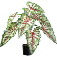 KUNSTPFLANZE 66 cm  - Rot/Braun, Design, Kunststoff (66cm) - P & B