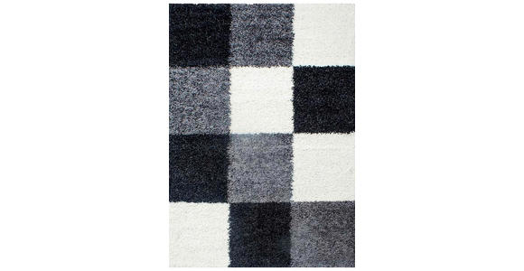 HOCHFLORTEPPICH 120/170 cm Life 1501 Grau, Schwarz, Weiß  - Schwarz/Weiß, KONVENTIONELL, Textil (120/170cm) - Novel