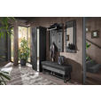 GARDEROBENSCHRANK 60/196/39 cm  - Anthrazit/Schwarz, Design, Glas/Holz (60/196/39cm) - Johann Jakob