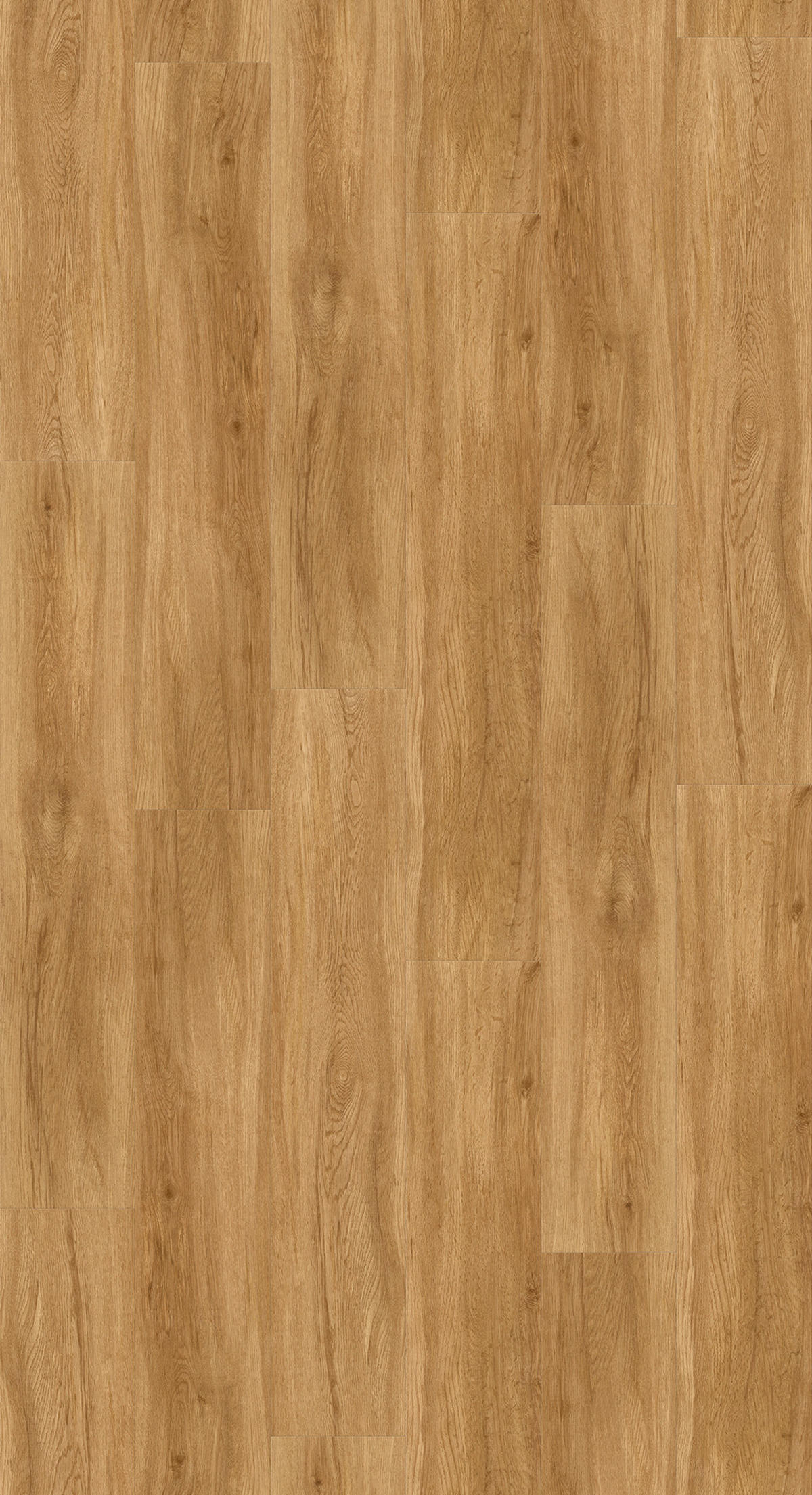 Eiche Cambridge Natur Basic 30  per  m² - Basics, Holzwerkstoff (120,7/21,6/0,94cm) - Parador