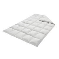 DAUNENDECKE  EIDERDAUNE 140/220 cm 100 % Daunen  - Hellgrau, Basics, Textil (140/220cm)