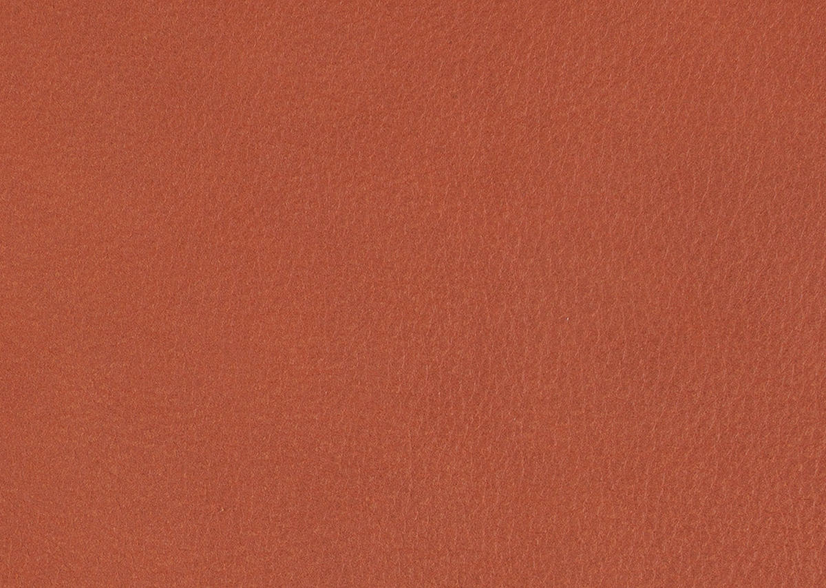 SESSEL in Echtleder Orange  - Schwarz/Orange, Design, Leder/Metall (80/104/99cm) - Koinor