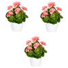 KUNSTPFLANZE Geranie 24 cm  - Rosa/Weiß, Design, Keramik/Kunststoff (24cm) - P & B