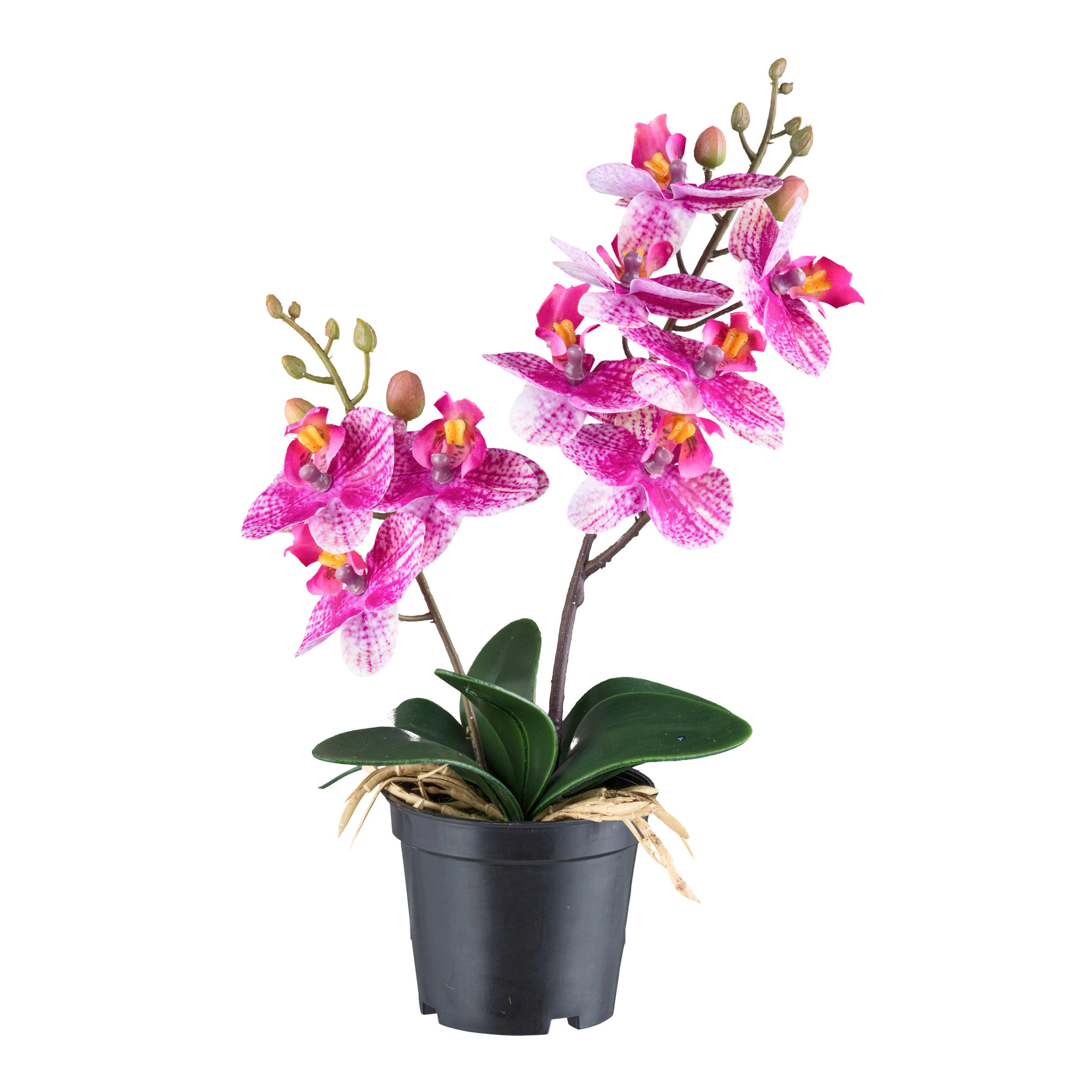 KUNSTPFLANZE Orchidee 28 cm  - Pink/Schwarz, Design, Kunststoff (28cm) - P & B