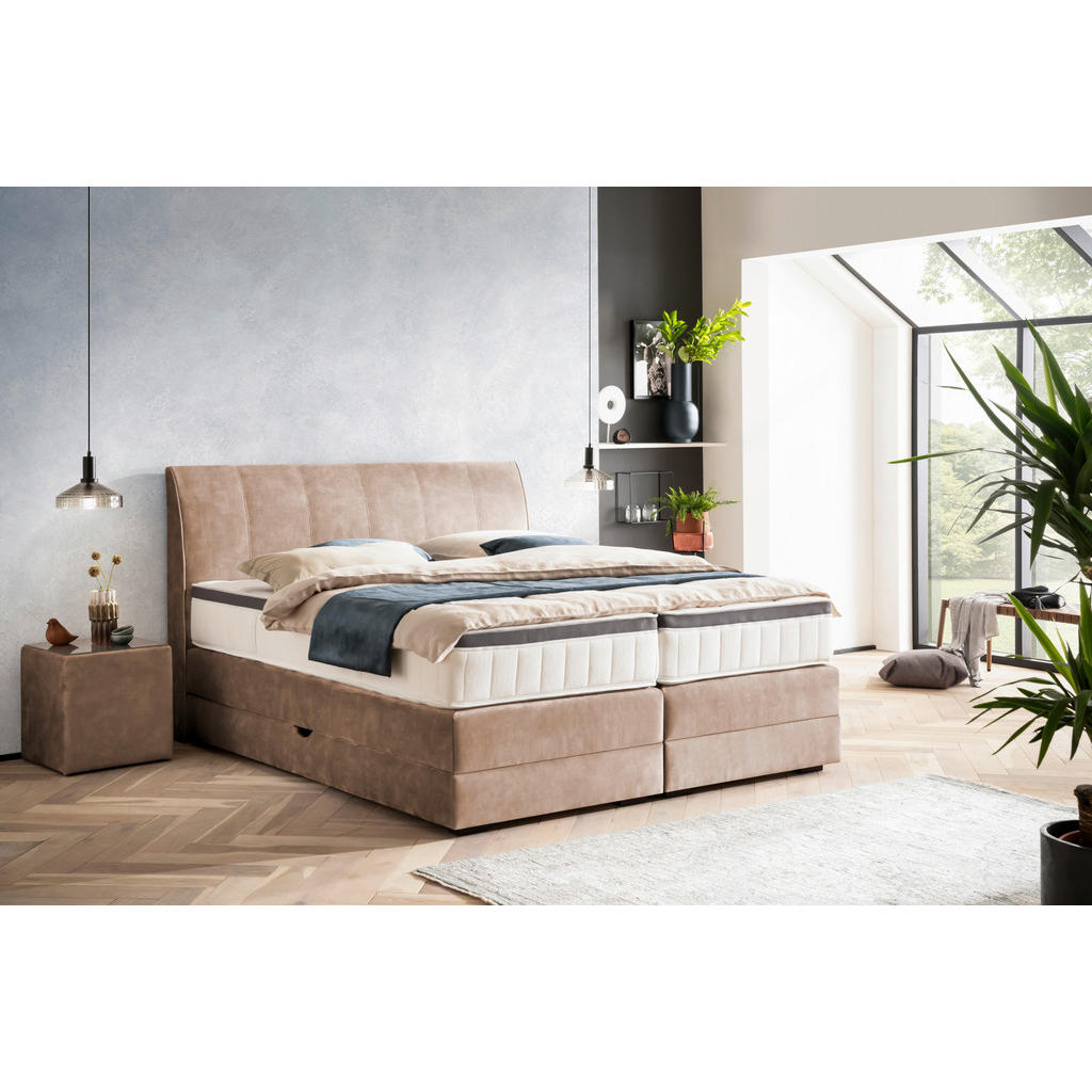 Thumbnail - Novel Boxspringbett, Hellbraun, Textil, Wenge, H2 + H3, 7-Zonen, Höhe ca. 27 cm, 160x200 cm, Bettkasten, Federkernmatrat...