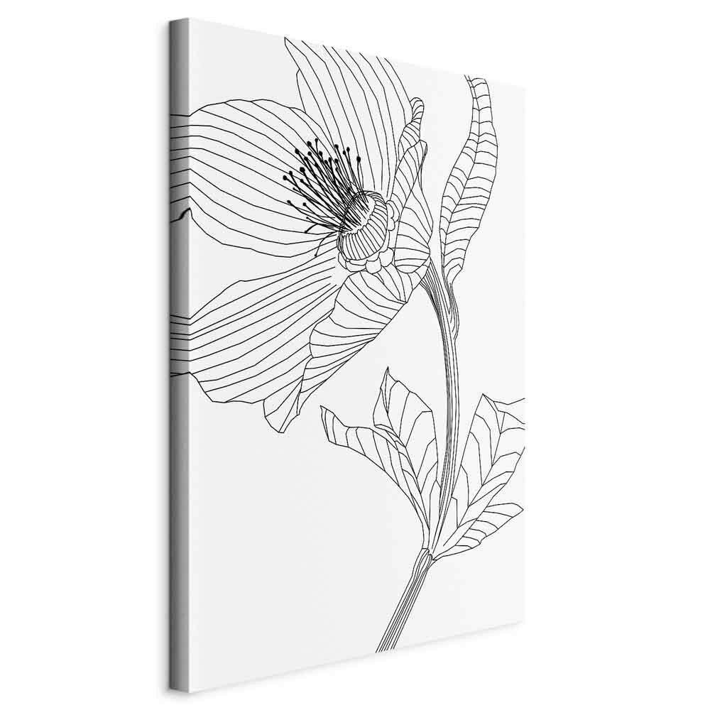 LEINWANDBILD Abstraktes, Blumen Schwarz, Weiß  - Schwarz/Weiß, Basics, Holzwerkstoff/Textil (40/60/1,2cm) - artgeist