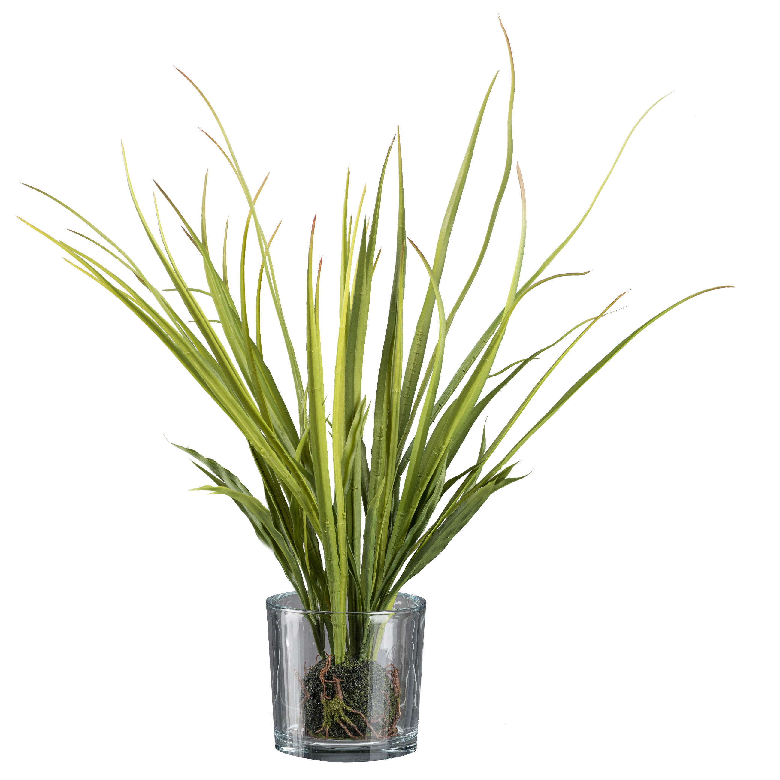 KUNSTPFLANZE 50 cm  - Klar/Grün, Basics, Glas/Kunststoff (50cm)